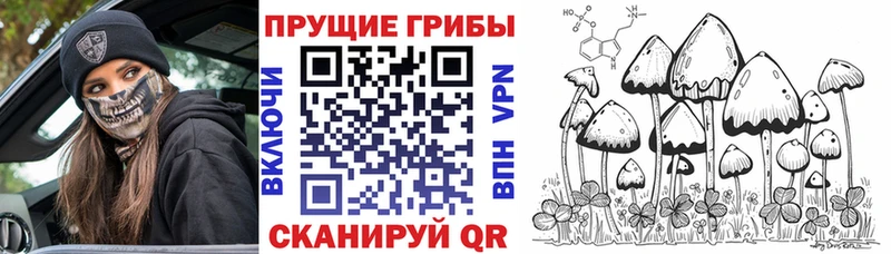 Псилоцибиновые грибы мицелий  МЕГА сайт  Починок 